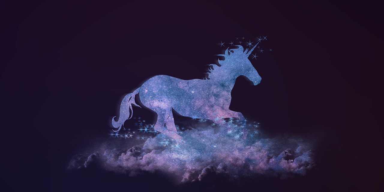 最新宠物精灵盘点，探索神奇世界的宝藏之星